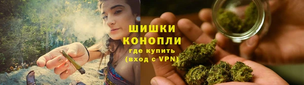стаф Зеленокумск