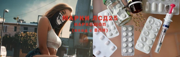 стаф Зеленокумск