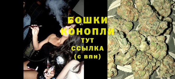 прущие грибы Щигры