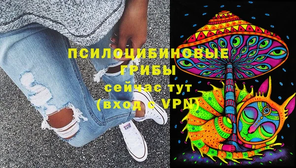 прущая мука Инсар