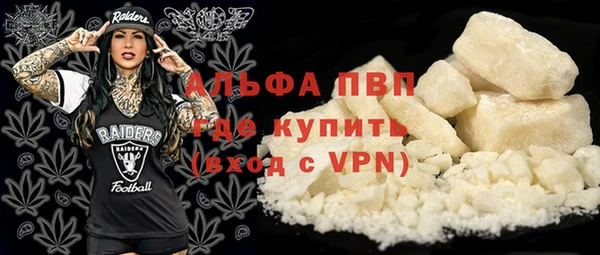 стаф Зеленокумск